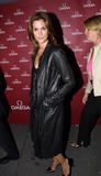 th_36400_Cindy_Crawford_Celebrity_City_Mix_86727_122_255lo.jpg