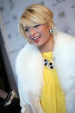 Paris Hilton - Hottie and the Nottie Premiere