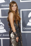 http://img183.imagevenue.com/loc5/th_57655_MileyCyrus_53rdannualGrammyAwardsinLosAngelesFeb132011_By_oTTo13_122_5lo.jpg